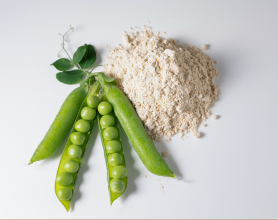 Pea Protein