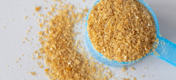 Chondroitin Sulfate2