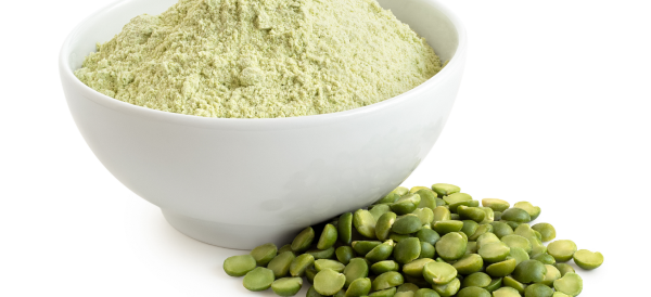 Pea Protein1